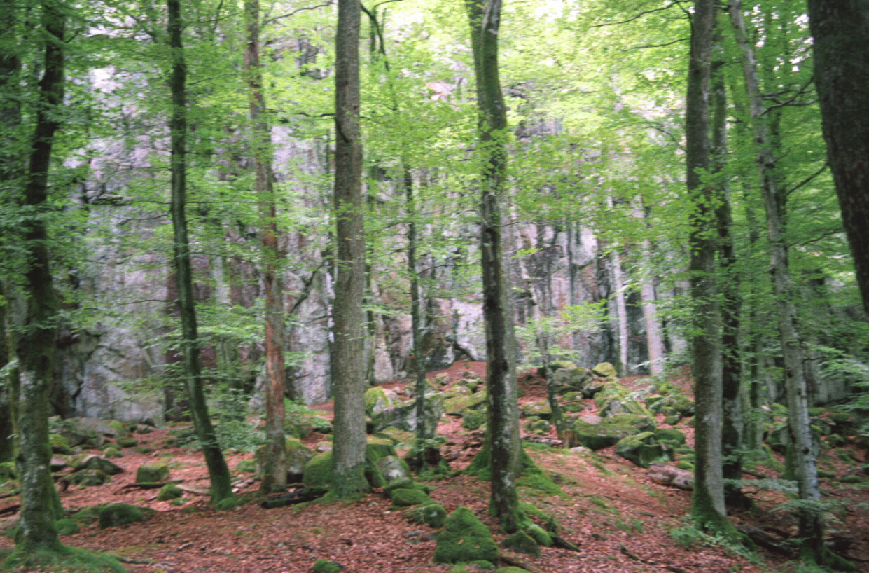 Klovaberget003.jpg