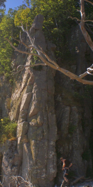 Fil:Bornholm-RoestadTexasYeti.jpg