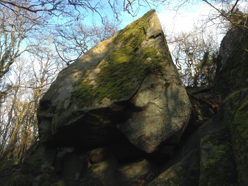 Fil:Bornholm-Troldeskoven2.jpg