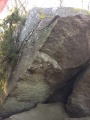 Bornholm-Troldeskoven3.jpg