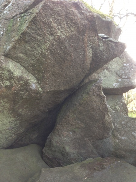 Fil:Bornholm-Troldeskoven4.jpg