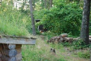 Dbs hytte foto 018.JPG