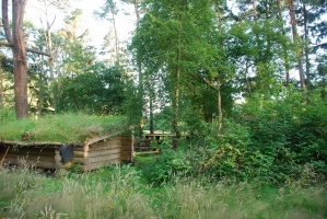 Dbs hytte foto 022.JPG
