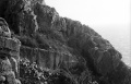 Thumbnail af versionen fra 31. jan 2010, 22:17
