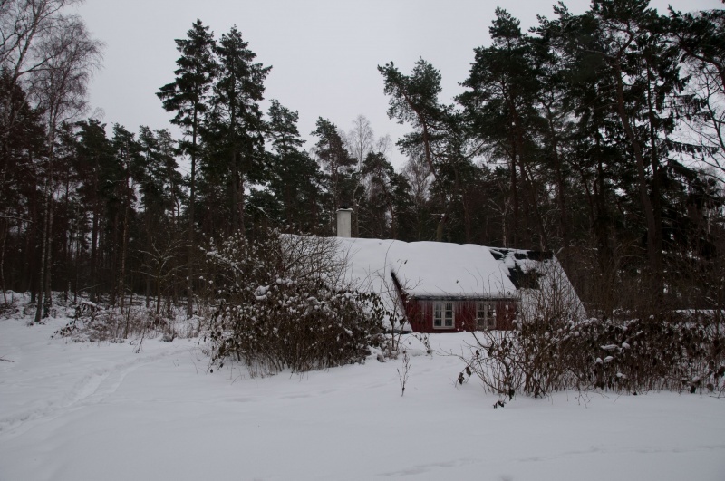 Fil:Kullen vinter 2010 DSC4587.jpg