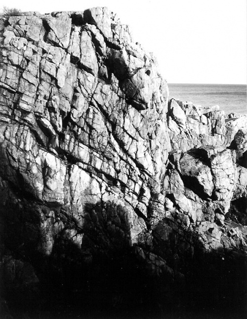 Martin6.jpg