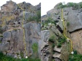 Thumbnail af versionen fra 18. jun 2011, 23:47