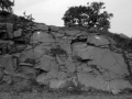 Thumbnail af versionen fra 6. sep 2012, 10:35